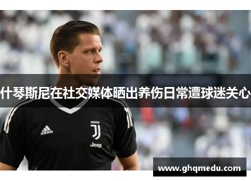 什琴斯尼在社交媒体晒出养伤日常遭球迷关心